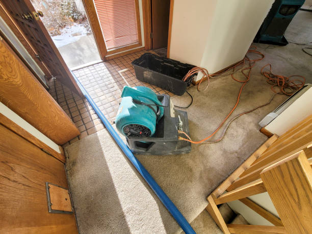 Best Flood restoration services  in La Marque, TX