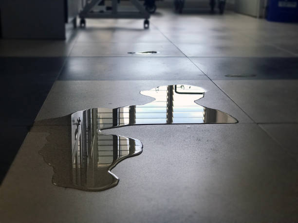 Best Water damage restoration cost  in La Marque, TX