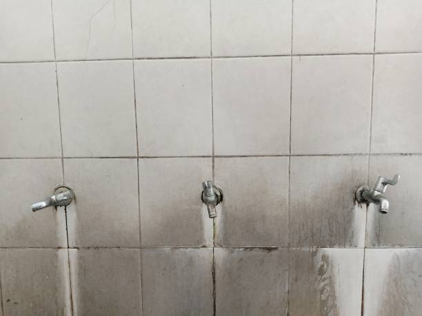 Best Water damage restoration mold remediation  in La Marque, TX